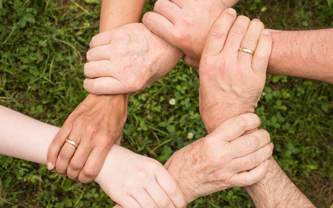 Al-Anon vs. Allies in Recovery: How Our Approach Differs