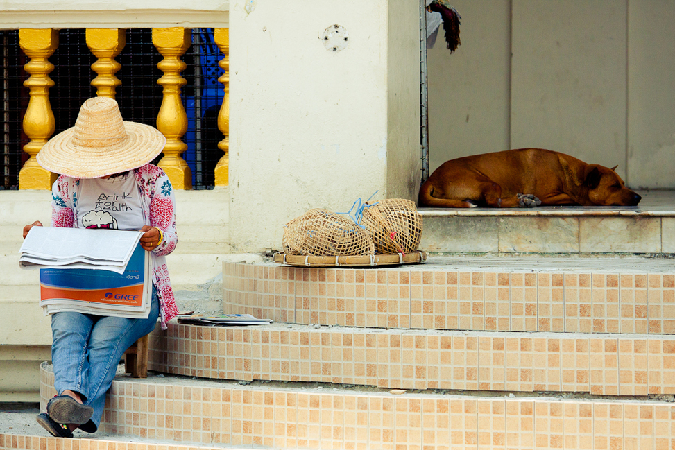 Woman Reading Newspaper with Dog