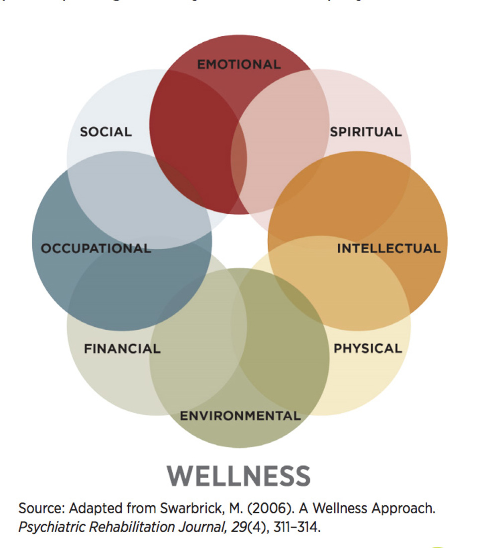 What You Need to Know About Wellness