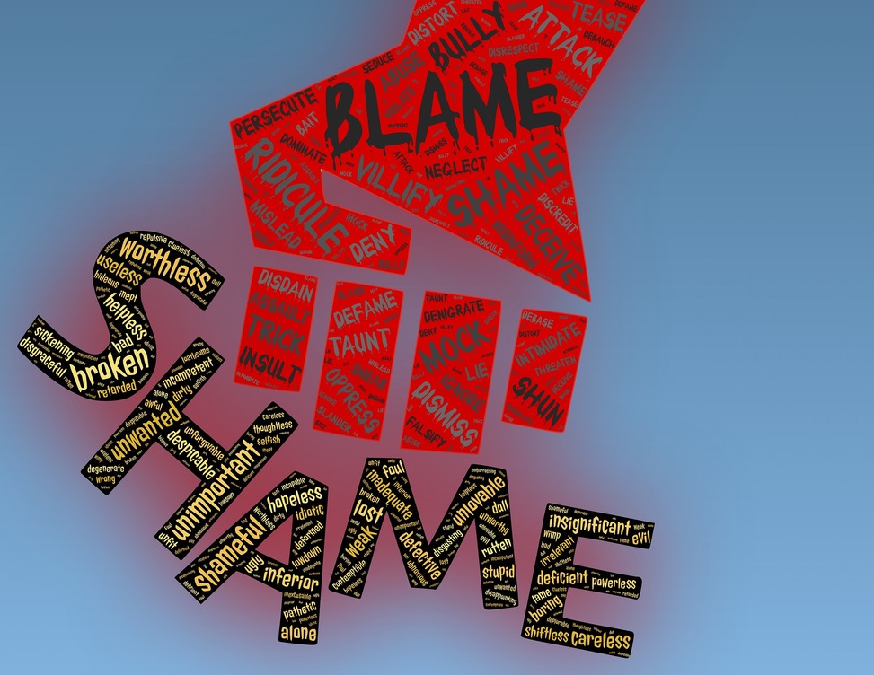 Shame - Blame