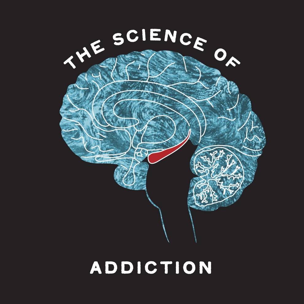 SUPPLEMENT- Science of Addiction
