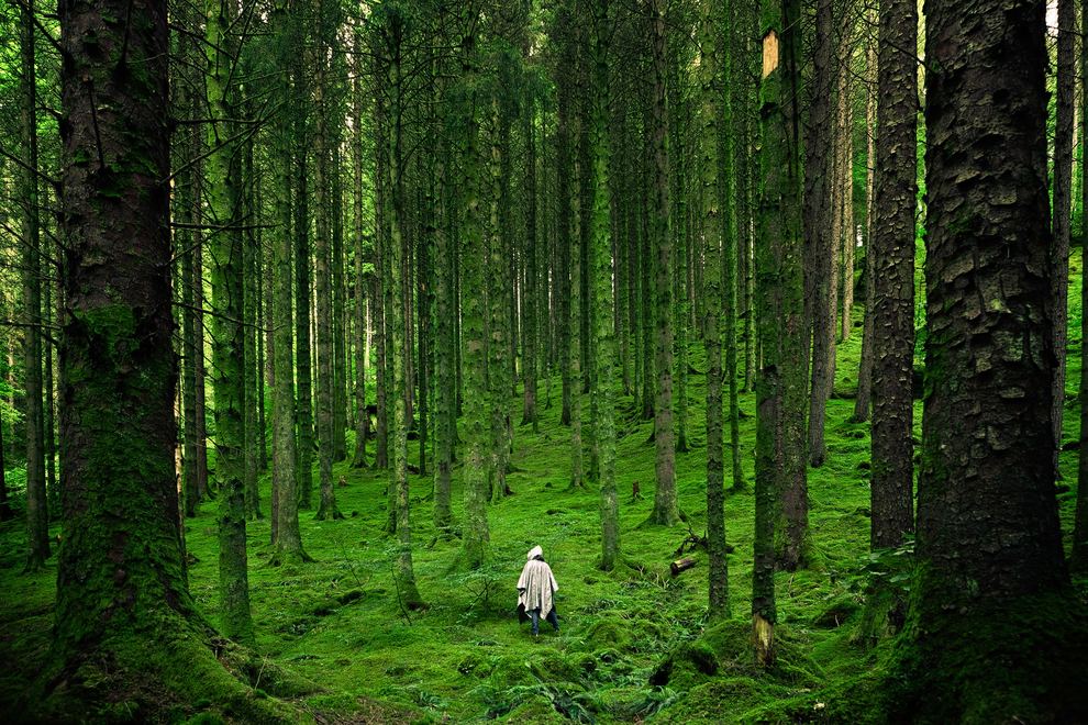 Forest person in rainforest