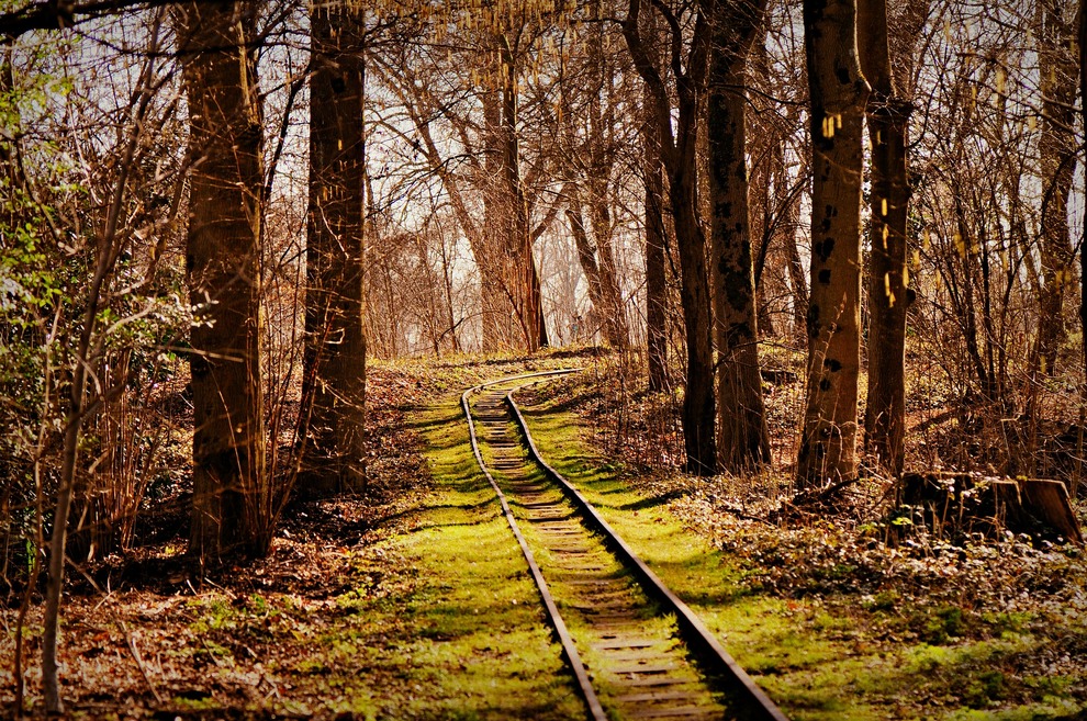 Grassy Train Tracks
