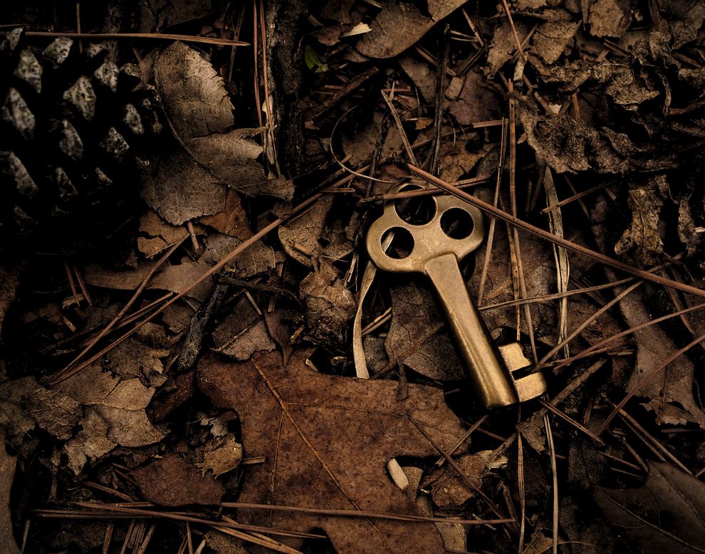 Key on Forest Floor