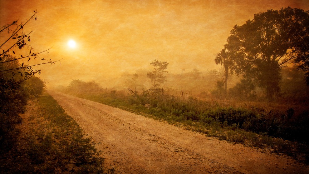 Dirt Road at Dawn