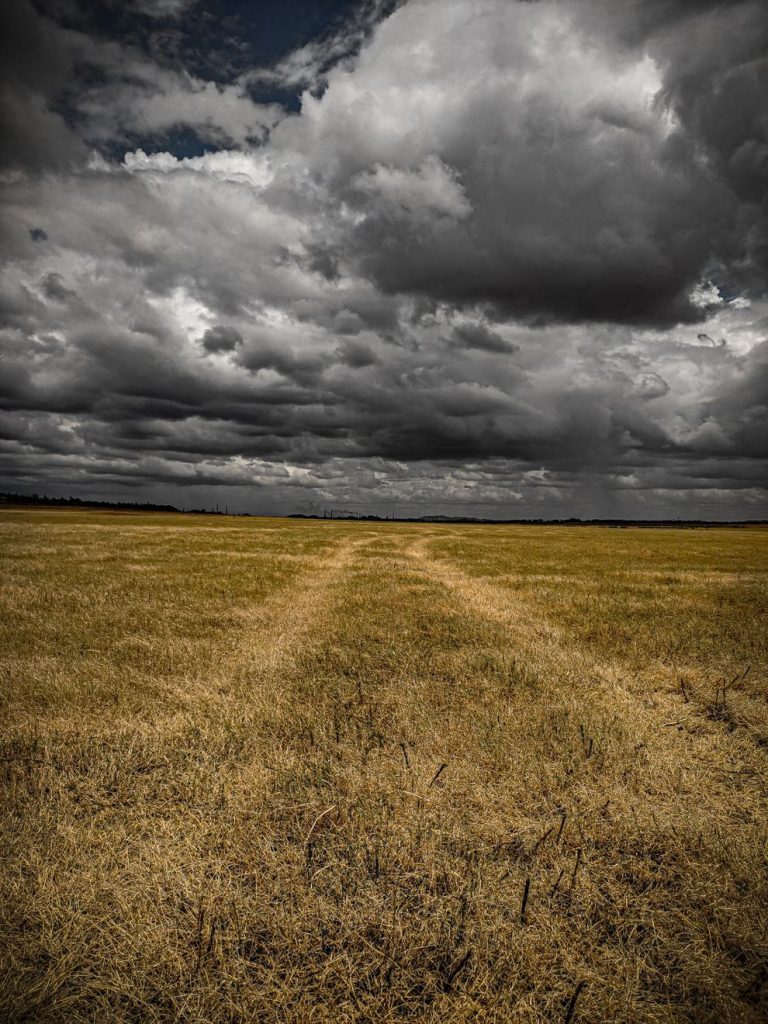 Gray skies and open field