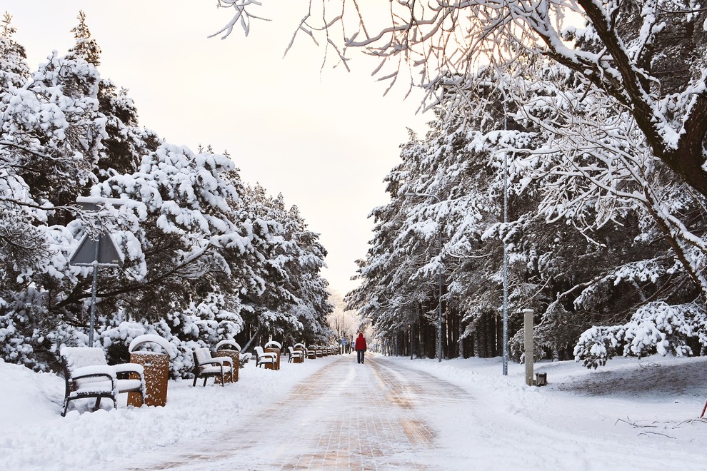 Winter Morning Walk