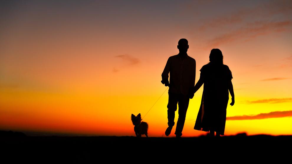 couple & dog walking towards sunset