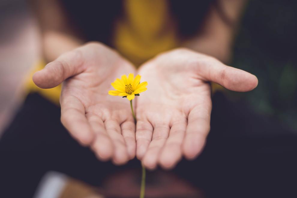 flower offering giving hands