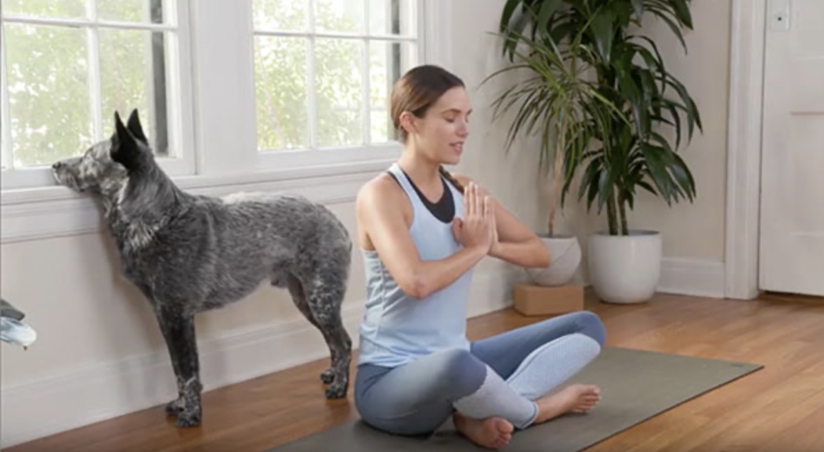 Yoga for Anxiety and Stress