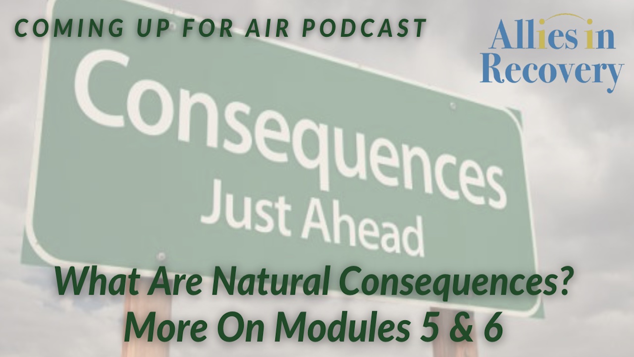 What Are Natural Consequences? More on Modules 5 & 6