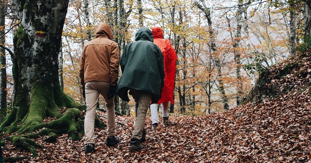 The Evidence Is In: A Walk in the Woods Really Is Good for the Soul