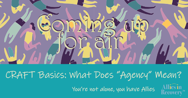 CRAFT Basics: What Does “Agency” Mean?