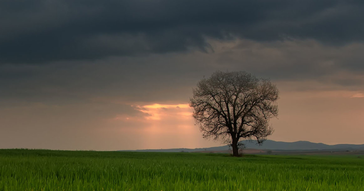 “The Three F’s”: Annie Highwater on Seeking Peace Before Plunging Into the Storm
